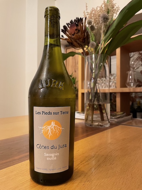 Morel – Jura France